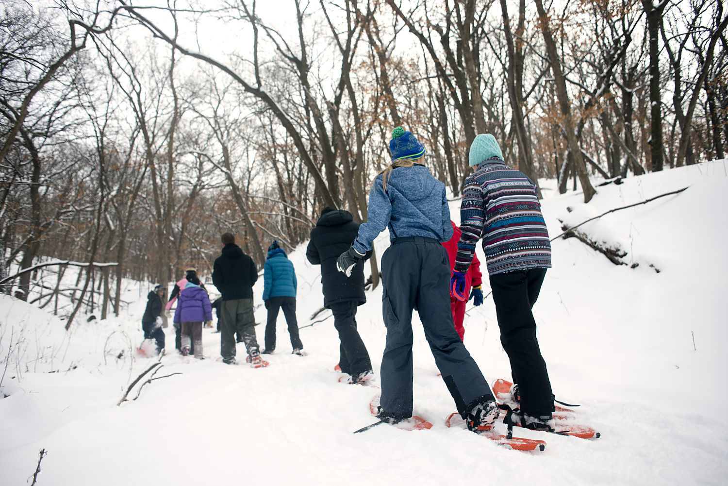 Snowshoe Trail